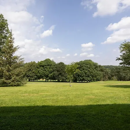The View-2